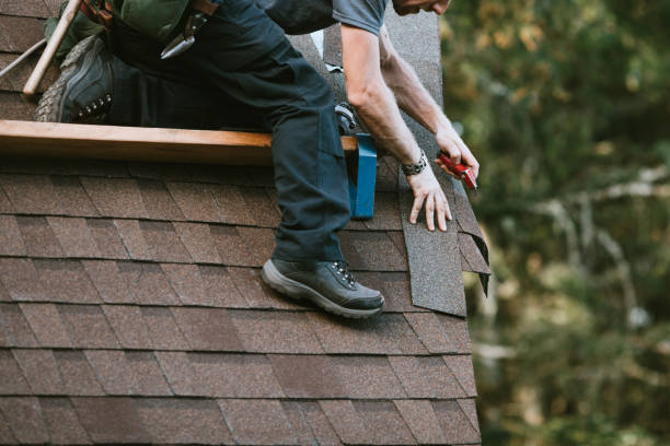 Quick and Trustworthy Emergency Roof Repair Services in Northampton, PA